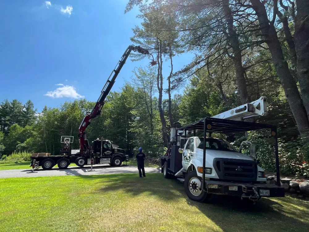 Tree Worker