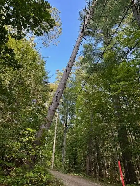 Storm Damage Cleanup