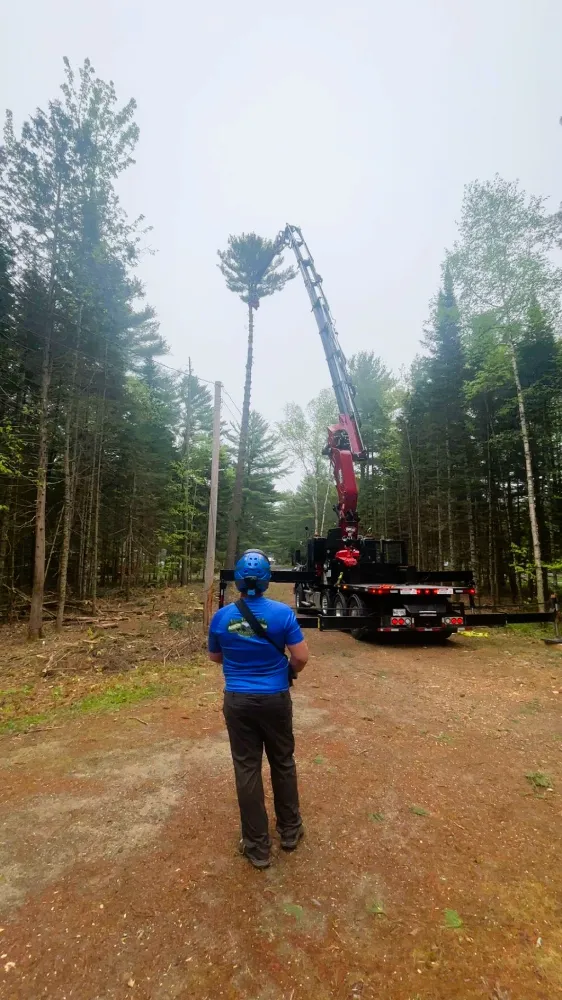 Crane operation