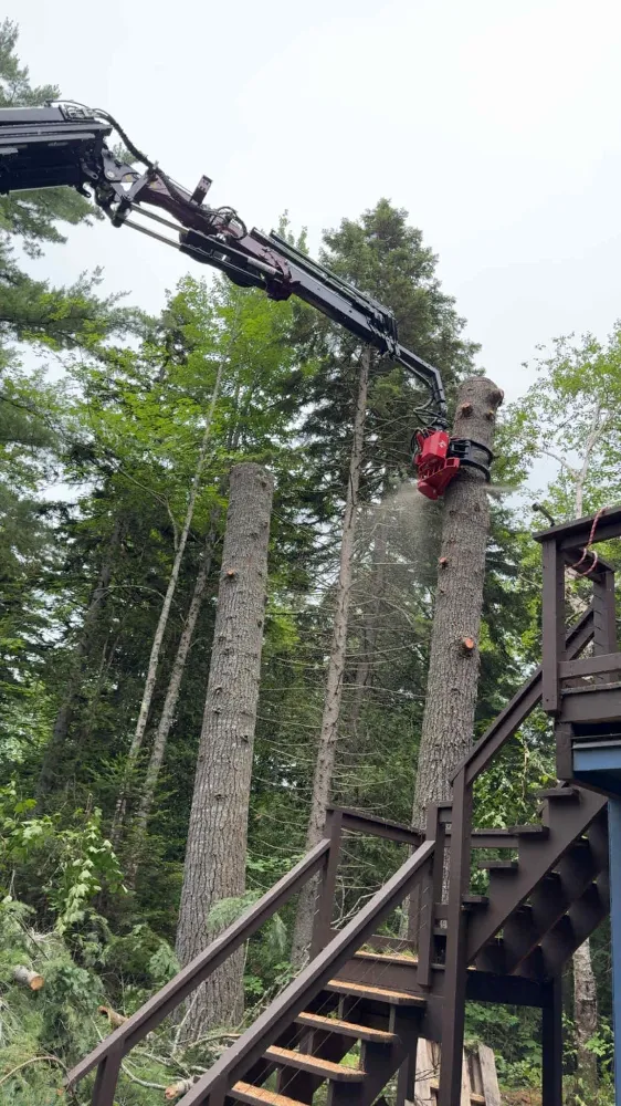 Tree Pruning