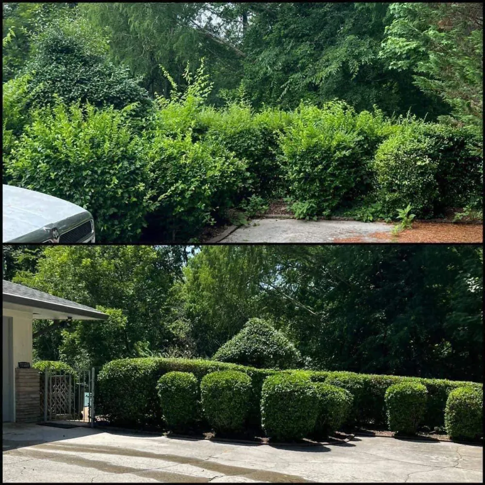 Bush & Hedge Trimming
