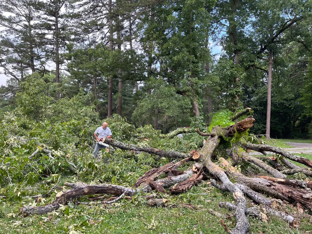 Clean yard